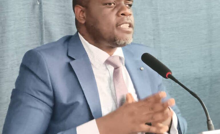  Création du Ministère de l’investissement en RDC : Patrick Onoya alerte Felix Tshisekedi !