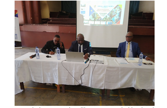 Numérique en RDC : Dominique Migisha dévoile les 4 piliers stratégiques pour accélérer la transformation digitale